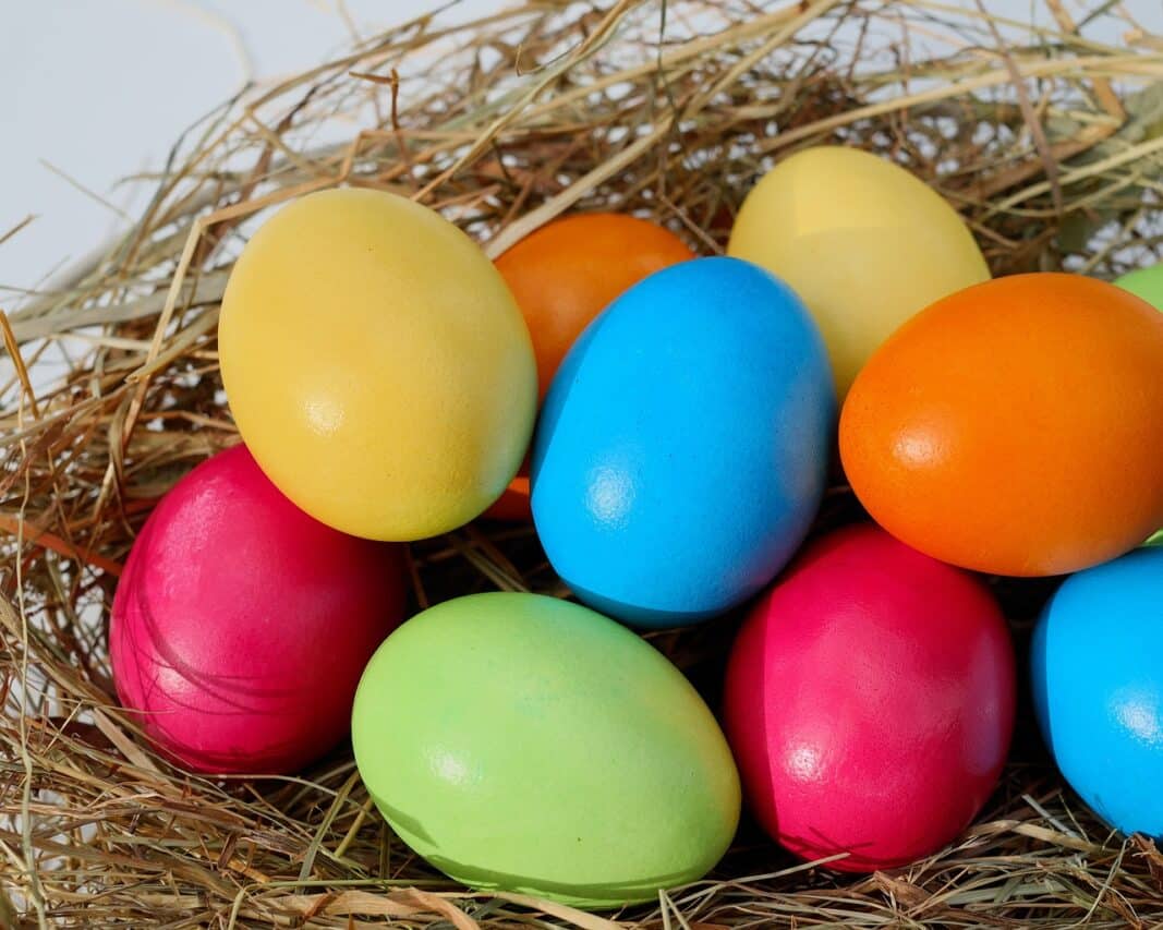 Chasse aux oeufs de Pâques à Saman, inscrivez-vous.