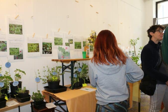 L'exposition des sauvageonnes à Aurignac, organisée par Passe-Graines, avec dégustation de petits plats aux herbes.