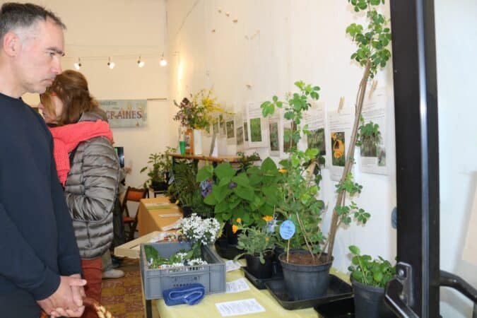 Une exposition éducative et gastronomique à Aurignac, avec Passe-Graines.