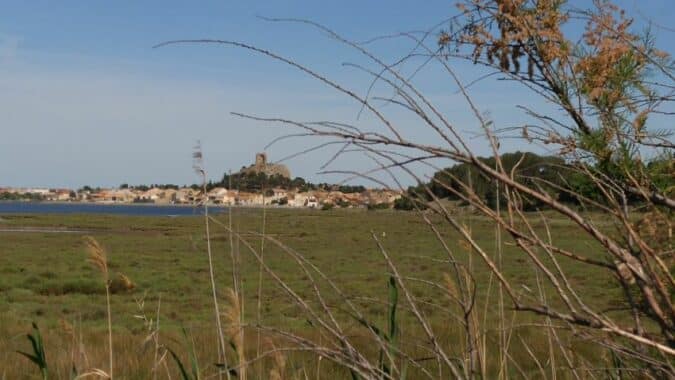 Gruissan à découvrir !