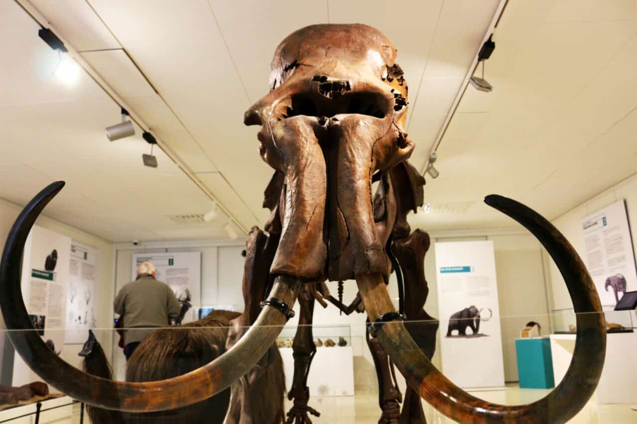 Les collections et les expositions du Musée de l'Aurignacien comme vous ne les avez jamais vues, à la lueur des torches. C'est samedi et c'est gratuit.