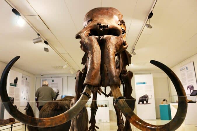 Les collections et les expositions du Musée de l'Aurignacien comme vous ne les avez jamais vues, à la lueur des torches. C'est samedi et c'est gratuit.