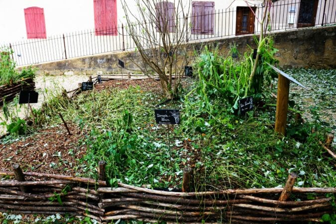 L'hortus médiéval, jusqu'à présent opulent, entièrement dévasté par l'orage, comme beaucoup d'autres jardins, vergers, potagers, champs, maraîchages, à Aurignac après l'orage de grêle.