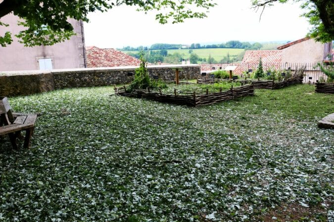 L'hortus médiéval, jusqu'à présent opulent, entièrement dévasté par l'orage, comme beaucoup d'autres jardins, vergers, potagers, champs, maraîchages, à Aurignac après l'orage de grêle.