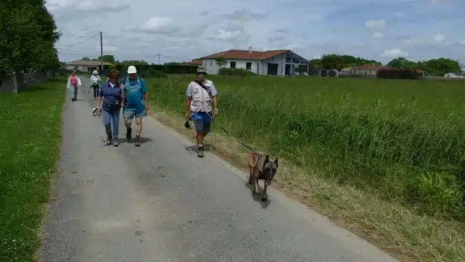 Petite boucle du mercredi sympa à Uglas pour Randonnée à Blajan.
