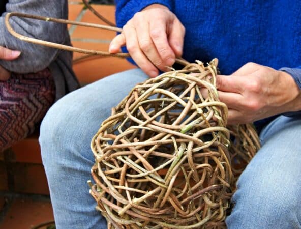 Les secrets de la vannerie sauvage à la MNE 65.