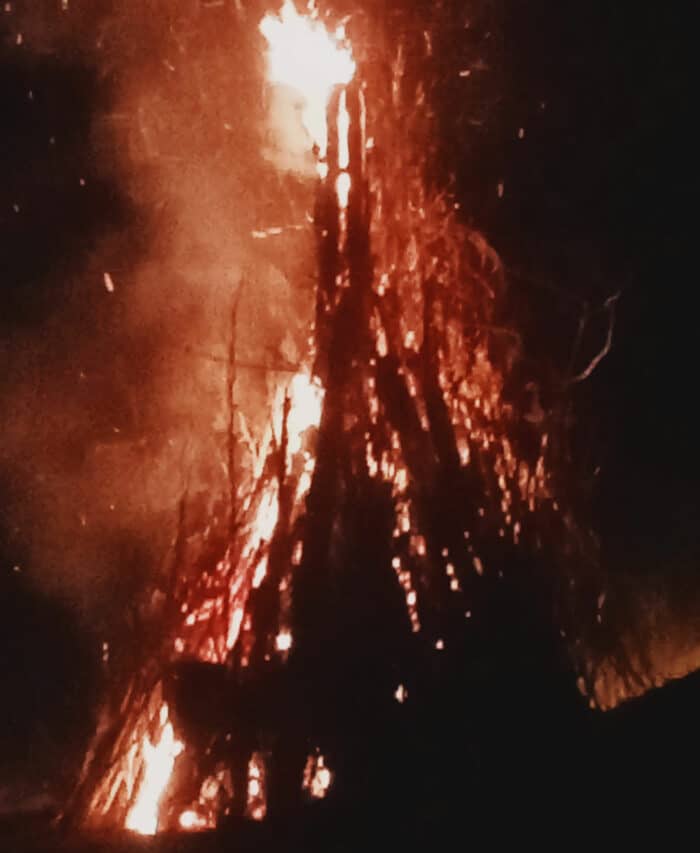 A Couledoux l’arbre fendu