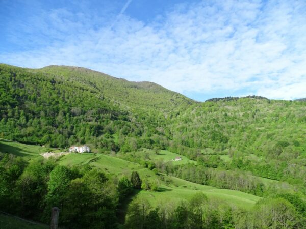 La Baderque, village martyr l'attaque allemande contre le maquis Bidon V