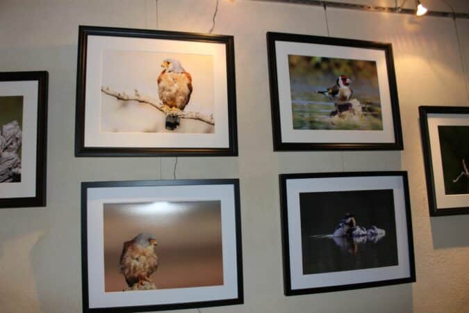 Le club de Bagnères a participé avec talent au Festival Photos nature de Monléon.