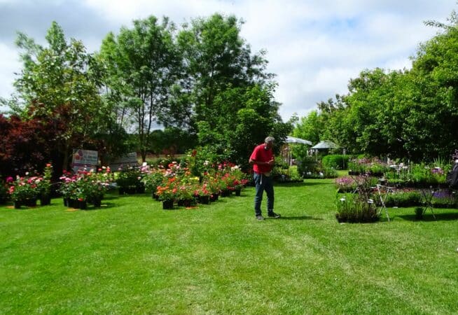 Une belle pelouse bien tondue oui mais pas au détriment de la tranquillité des voisins.