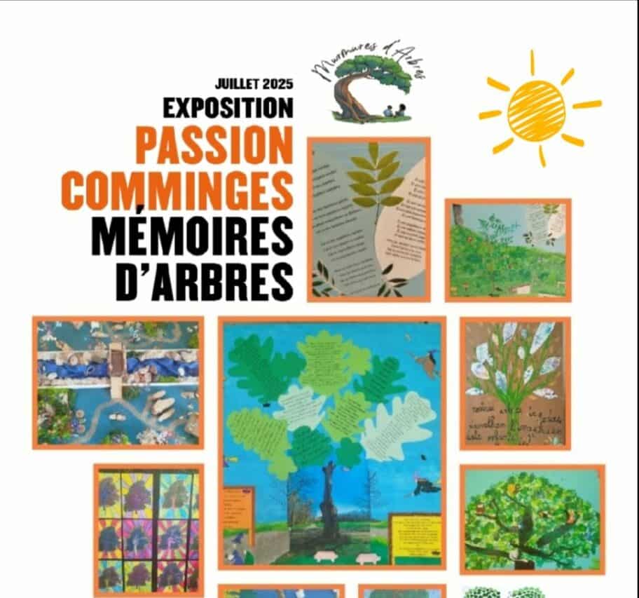 L'exposition Mémoires d'Arbres de Terracor s'exporte à Toulouse.