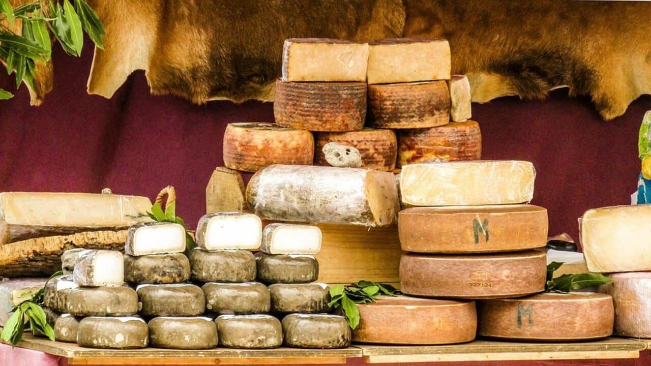 Dans le cadre des Journées du Boulonnais, se déroulera le tout 1er concours fromager de la Chambre d'Agriculture 31.