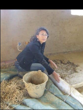 Un chantier participatif à l'éco-hameau de Gensac-de-Boulogne. (photo illustration)