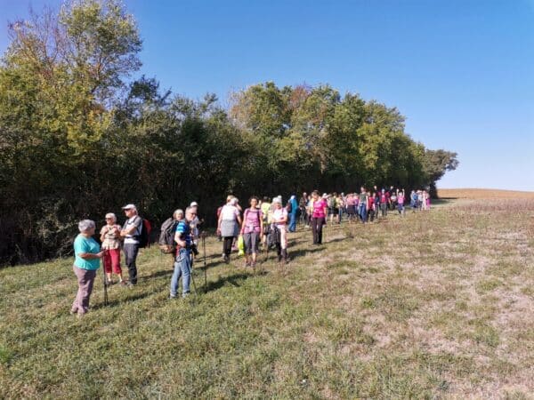 Une marche conviviale, sportive,accessible à tous