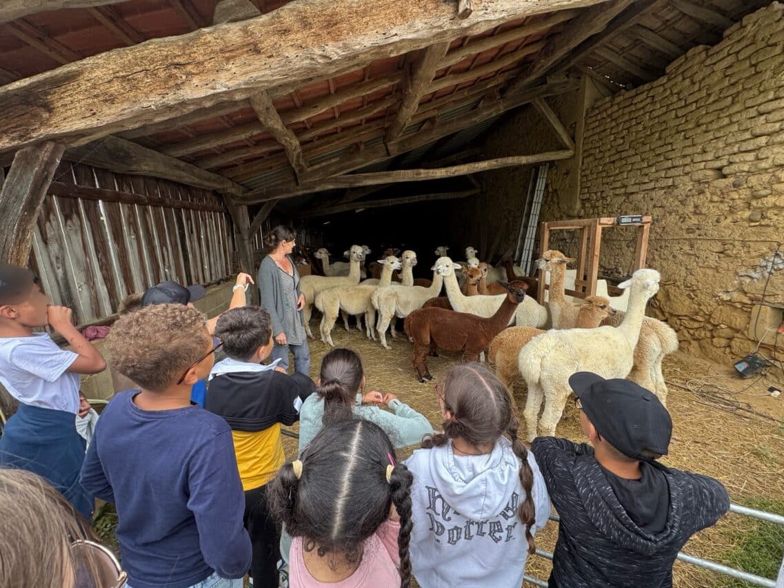 Les petits écoliers en visite dans les fermes partenaires des Journées du Boulonnais.