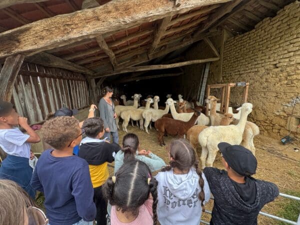 Les petits écoliers en visite dans les fermes partenaires des Journées du Boulonnais.