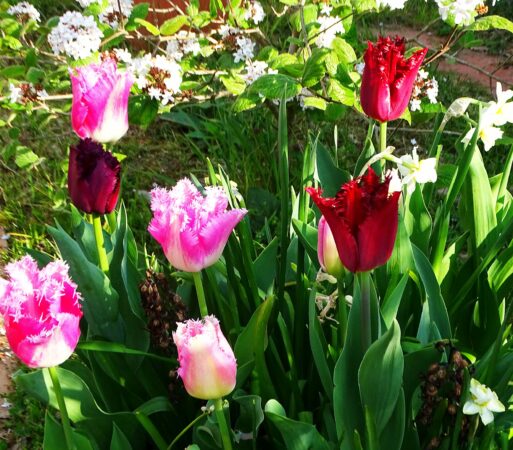 Des travaux d'automne pour préparer la belle saison.