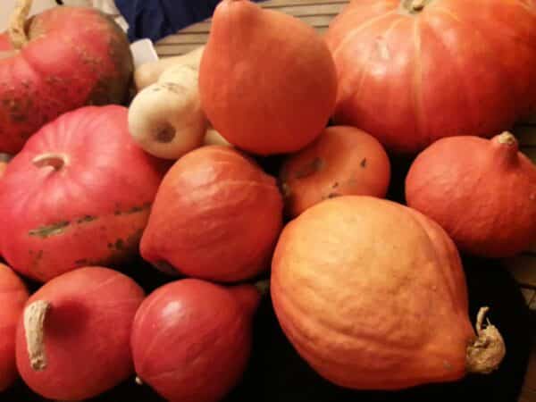 Une journée dédiée à la courge sous toutes ses formes et aux jardins partagés, à Aurignac.