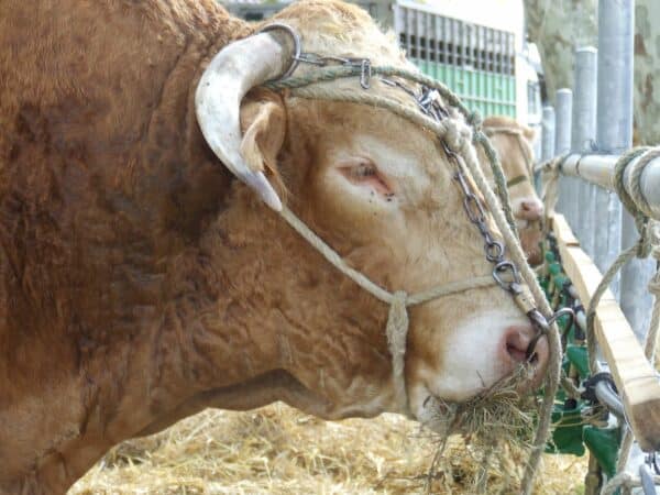 Transmettre sa ferme agricole, un parcours où l'on a besoin d'informations. L'ADEAR tient des permanences dans le secteur Val de Gers.