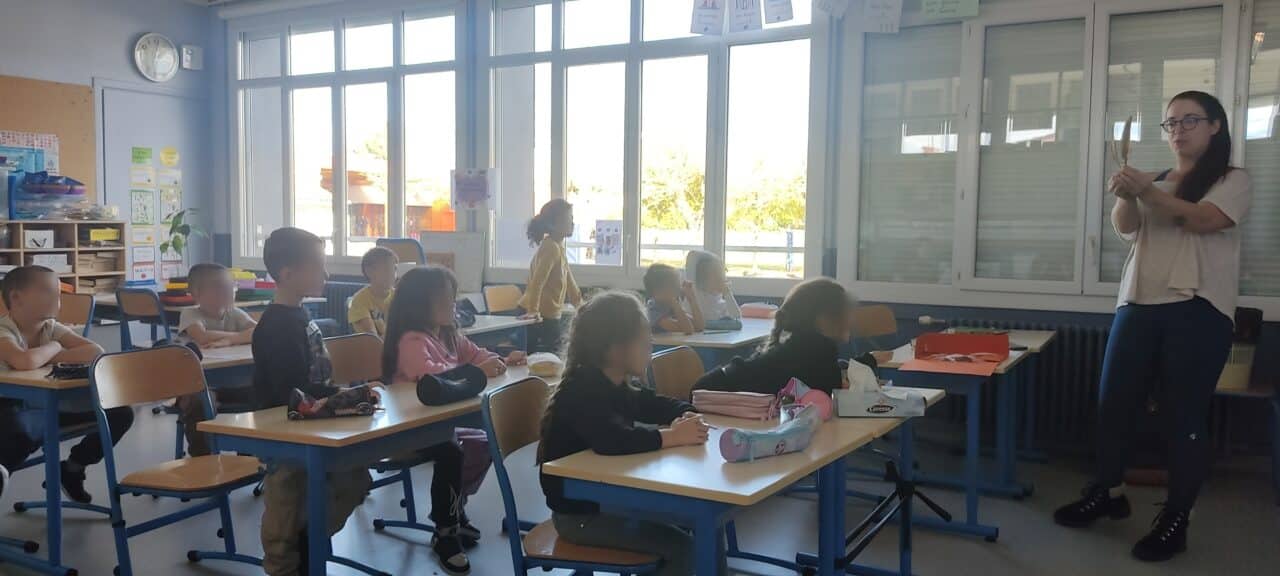 Avec Marine Deluen (médiatrice scientifique de la Maison Garonne), les élèves découvrent ces animaux à plumes