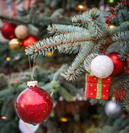 Des vols de décorations dans le village de Cassagnabère-Tournas.
