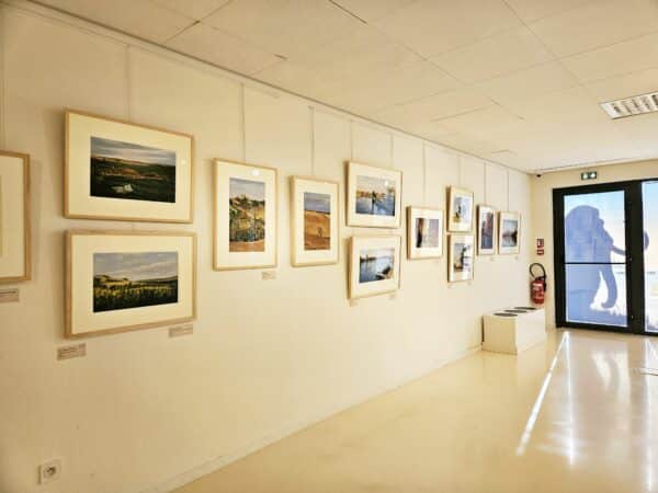 Une trentaine de tableaux de Moustapha Nachar en exposition temporaire au Musée de l'Aurignacien.