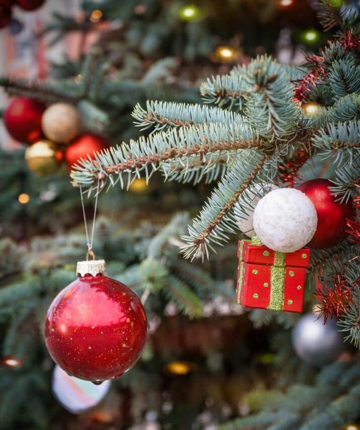 Pour un choix judicieux du sapin de Noël, les conseils de Bercy.