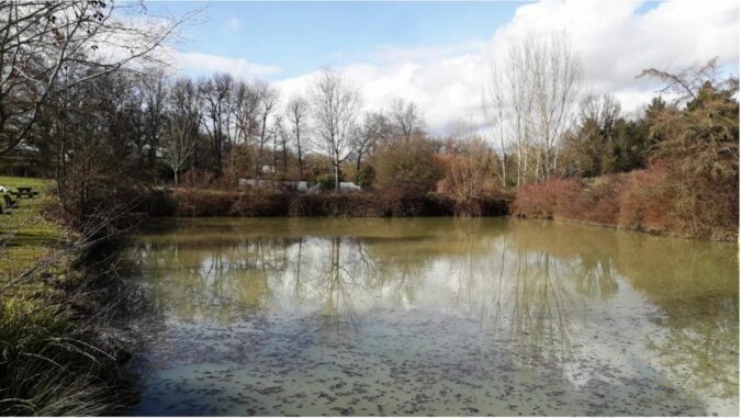 L'ancien étang de Monferran-Savès, maintenant transformé en zone humide par le Sygesave.