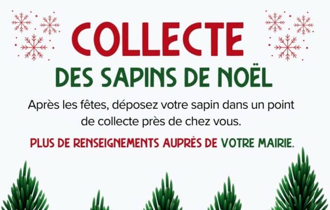 Pensez à déposer votre sapin naturel dans un point de collecte