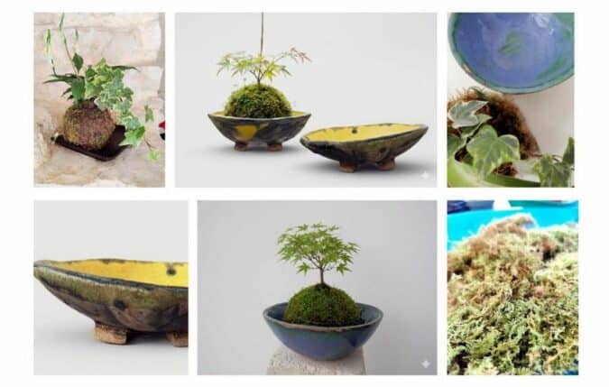 De belles compositions !