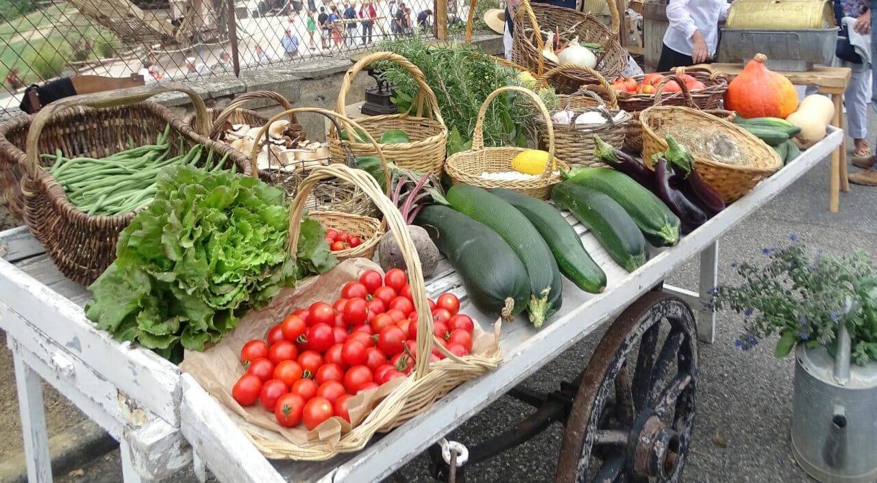 Pour des récoltes faciles dès le début de votre activité potagère, les conseils de la rubrique.