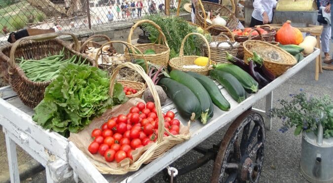 Pour des récoltes faciles dès le début de votre activité potagère, les conseils de la rubrique.