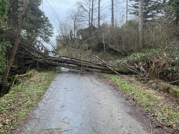 Sur la route de Castille au Plan