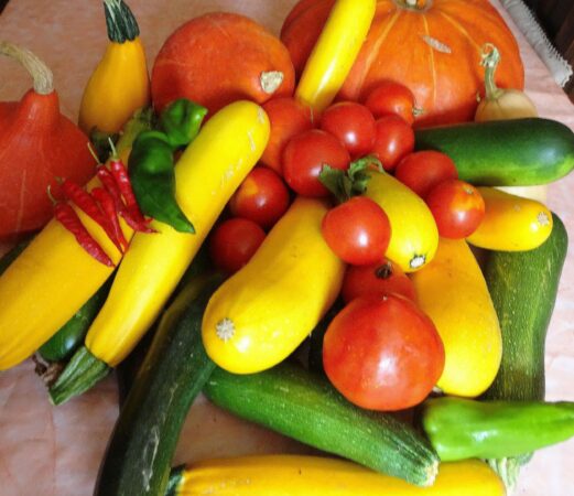 Un potager de poche, c'est aussi de bons légumes frais toute l'année.