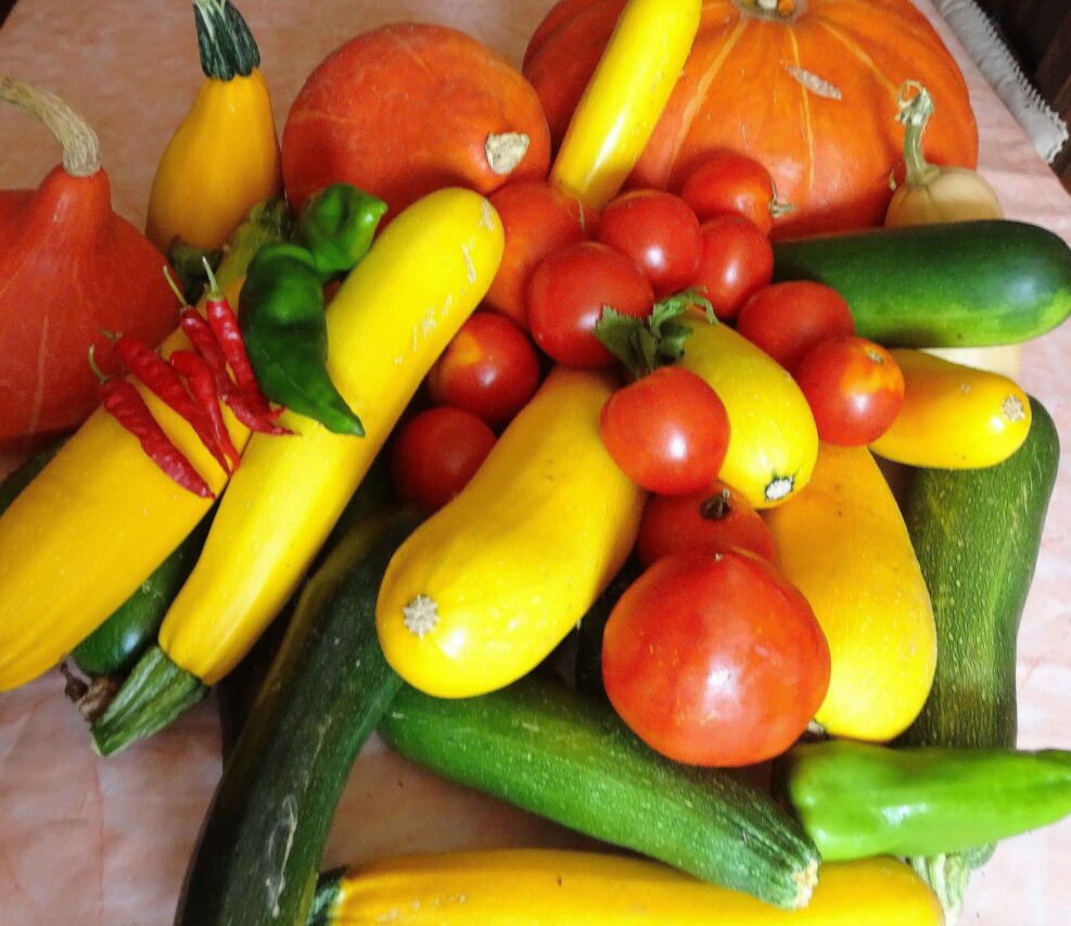 Un potager de poche, c'est aussi de bons légumes frais toute l'année.