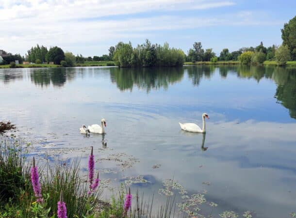 Un cadre bucolique vous attend !
