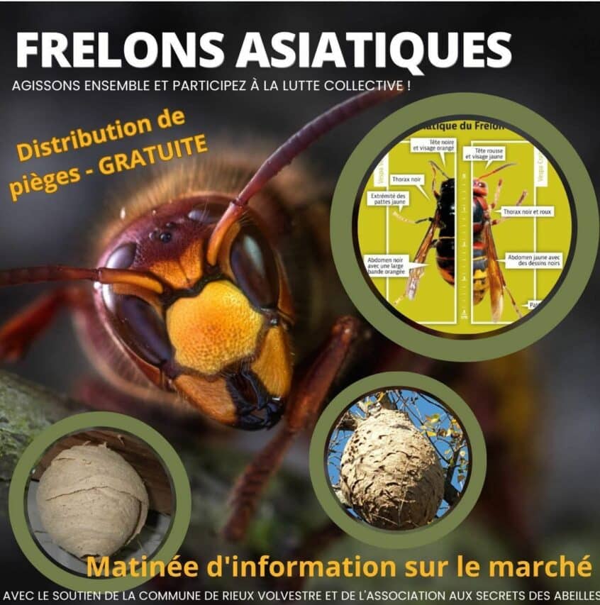 Venez vous informer !