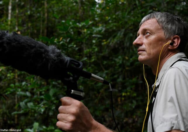 Christophe Thébaud enregistrant des chants d’oiseaux sur le terrain. Photographie : Staffan Widstrand