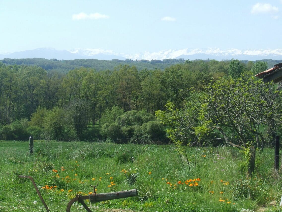 Les haies ont un rôle prépondérant dans l'environnement, la MNE 65 aide à leur installation.