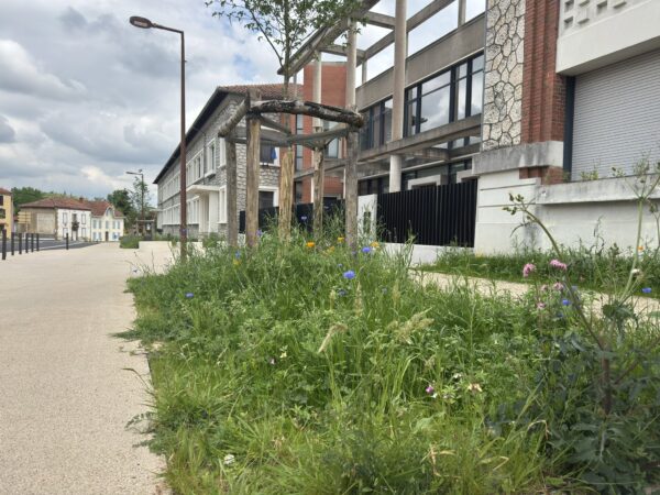 Des espaces verts laissés libres pour la biodiversité, un choix de la municipalité judicieux et assumé.