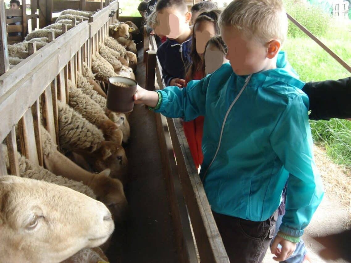 La 19ème édition de L'Ariège et la Haute-Garonne de Ferme en Ferme, une nouvelle occasion de découvrir l'agriculture de proximité.