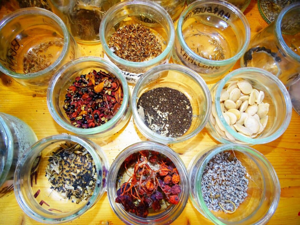 Des graines à échanger, mais aussi des plants et des boutures, lors de l'après-midi nature de la MNE 65.