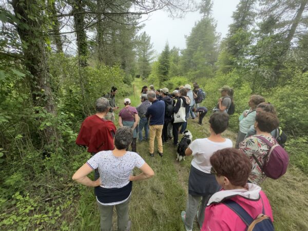 Une balade éducative et ludique dans la zone Natura 2000 de Boulogne, avec l'Aremip.