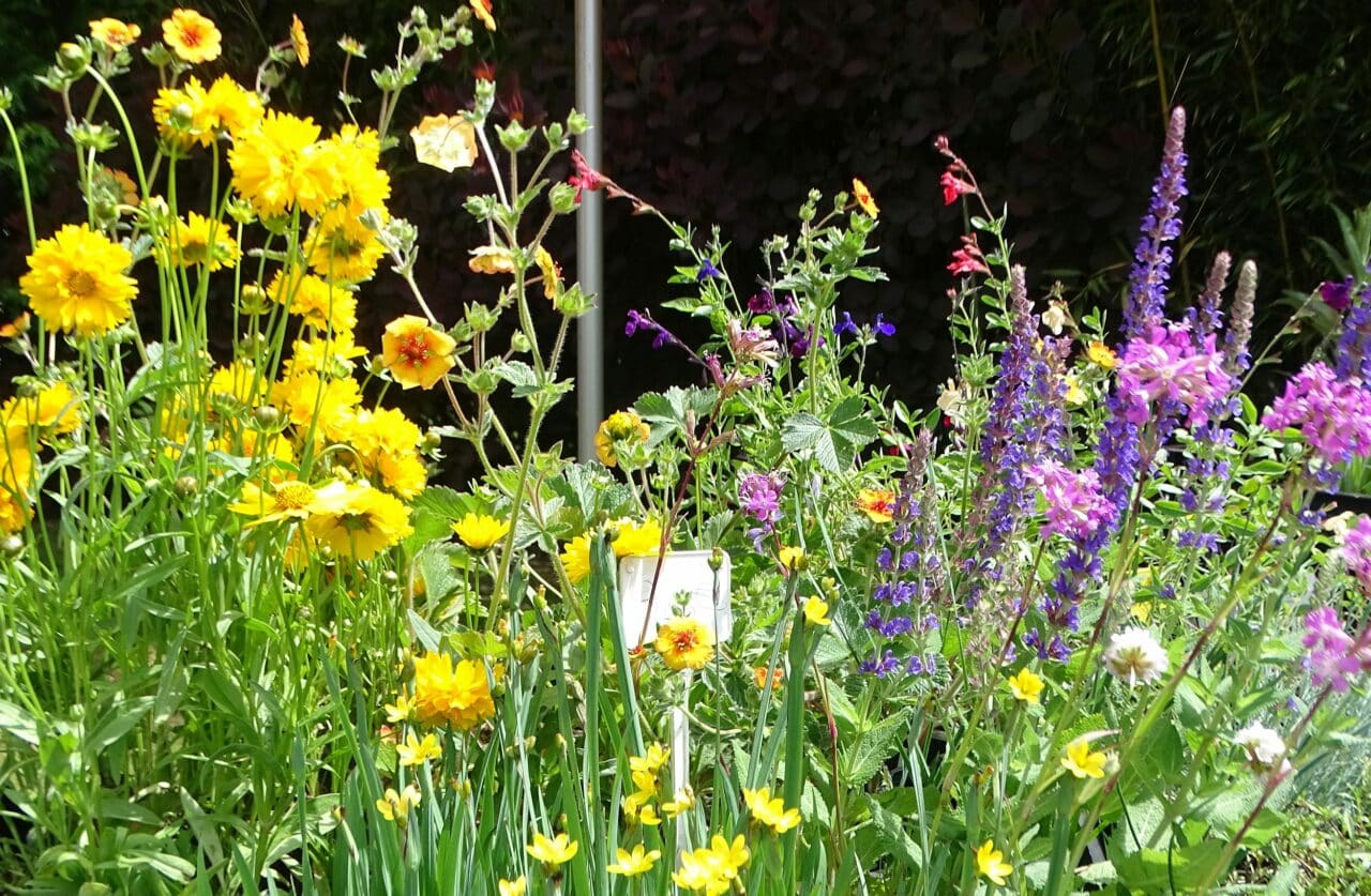 Des fleurs à foison pour pas un rond, un principe facile à mettre en application au jardin.