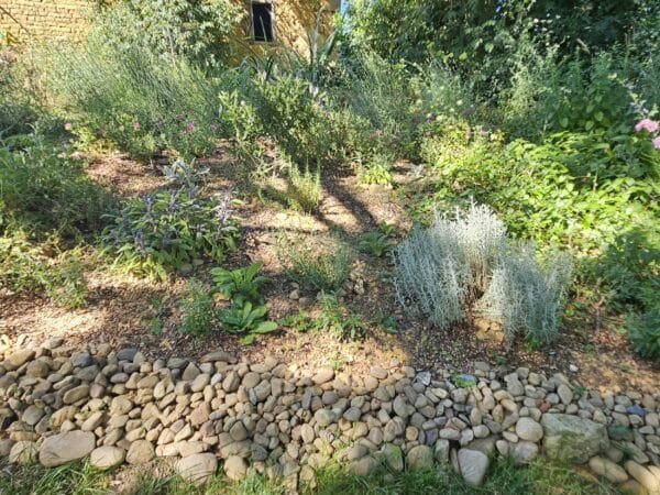 Le jardin naturel de Sonya et Alistair à Mondilhan.