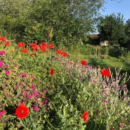 Le beau jardin naturel de Sonia ouvrira ses portes à Mondilhan les 13 et 14 juin.