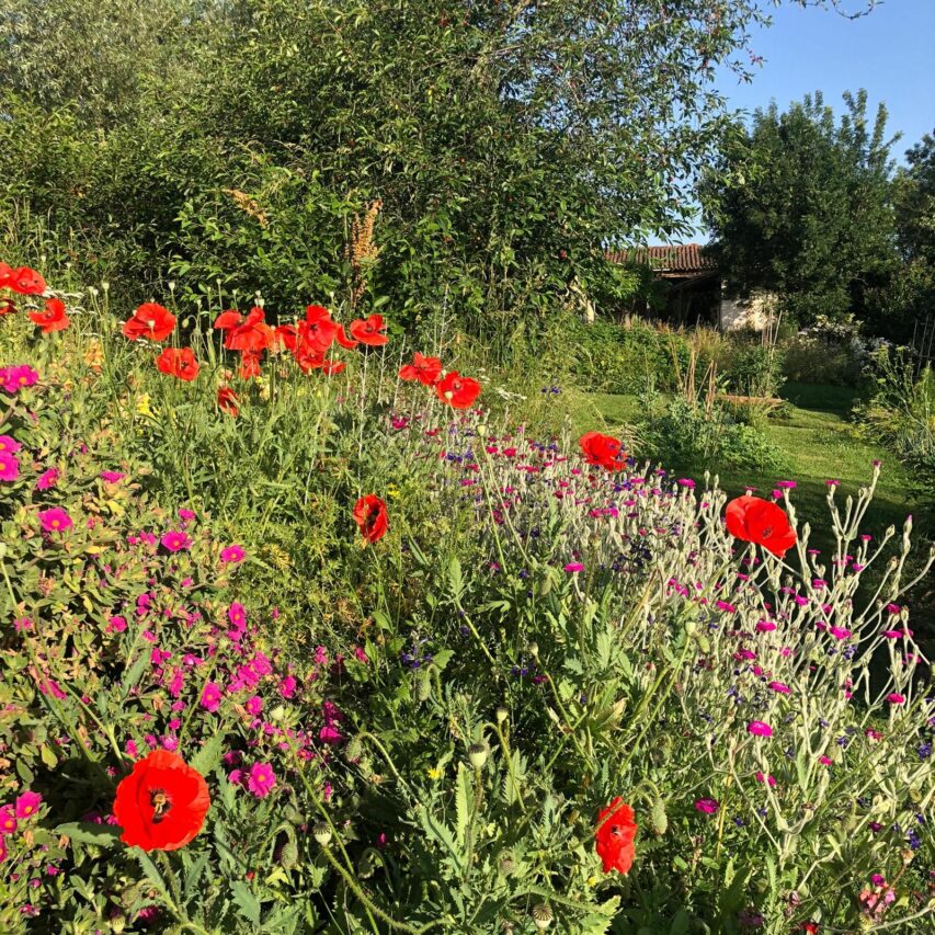 Le beau jardin naturel de Sonia ouvrira ses portes à Mondilhan les 13 et 14 juin.