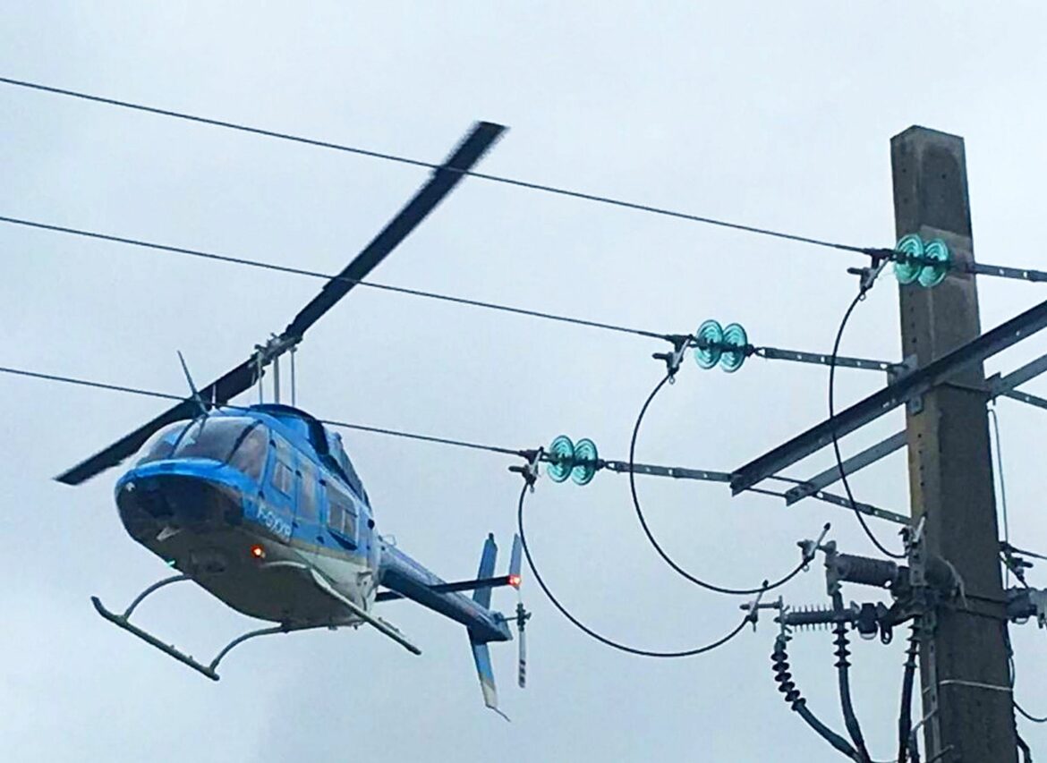 Le réseau électrique moyenne tension doit être exempt de végétation, Enedis fera procéder sur Latoue à un débroussaillement obligatoire. (photo illustration)