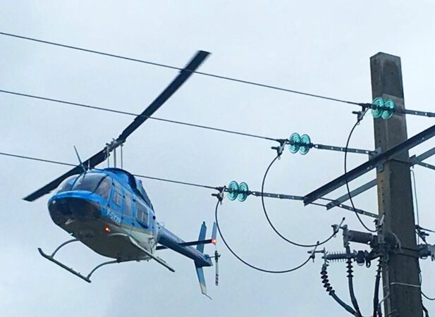 Le réseau électrique moyenne tension doit être exempt de végétation, Enedis fera procéder sur Latoue à un débroussaillement obligatoire. (photo illustration)