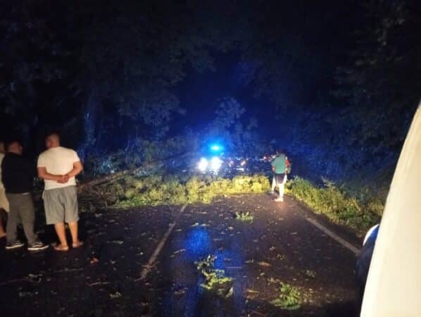 De gros dégâts dans le Comminges comme dans une grande partie de Midi Pyrénées, balayés par un orage monstre. (ici arbre tombé sur la route près de Saint-Marcet-photo S. Godfrain).